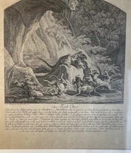 Antike Radierung Johann Elias Ridinger „Der FischOtter" 18. Jahrhundert Gerahmt - Bild 1 von 10