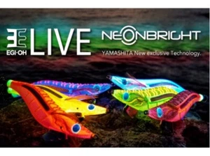 YAMASHITA EGI OH LIVE NEON BRIGHT 3.0 TOTANARA EGING SEPPIE CALAMARI - Foto 1 di 19