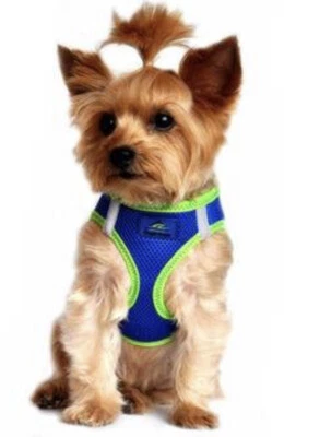 Chaleco Arnés Malla Red American River Diseño Perrito Talla XXL Neón Deporte Azul Nuevo Foto 1 de 4