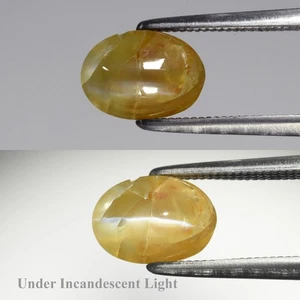 💎 2.14ct Oval Natural Greenish Yellow Cat's Eye Chrysoberyl - Sri Lanka Gem - Picture 1 of 6