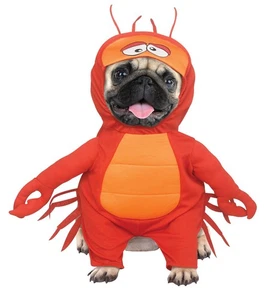 Lobster Pet Costume - Picture 1 of 2