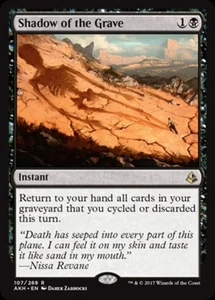 LP R - Shadow of the Grave: Amonkhet - Picture 1 of 1