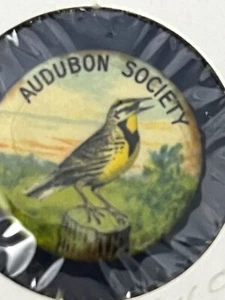 Vintage Celluloid Pinback Button AUDUBON SOCIETY Bird Button MEADOWLARK - Picture 1 of 5