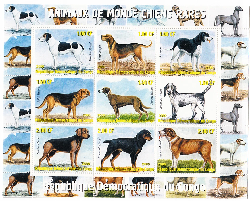 W CONGO DR Y2000 (2) DOGS - Image 1 of 1