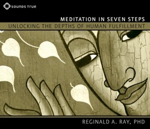 Meditation in Seven Steps - Imagen 1 de 1