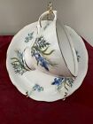 Colclough Bone China Blue Flower Cup and Saucer