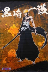 BANDAI BLEACH Ichigo Kurosaki 60 cm Tapestry Art picture toy Shonen Jump Limited - Imagen 1 de 1