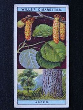 No.6 ASPEN Flowering Trees & Shrubs by W.D.& H.O.Wills Ltd 1924