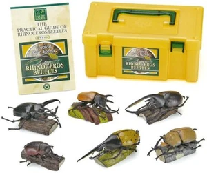 Colorata Real Figur Box - Königreichskäfer (6 Stck.) New Japan Kostenloser Versand mit T - Bild 1 von 9