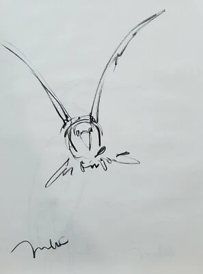 JOSE TRUJILLO Original Carbón sobre Papel Boceto Dibujo 18X24 FIRMADO Pájaro 12 Foto 1 de 4