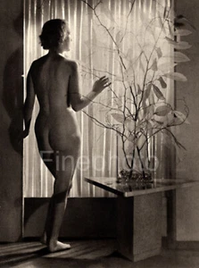 1930s Vintage Female Nude Back BERTRAM PARK YVONNE GREGORY Photo Art Deco 11X14 - Picture 1 of 1