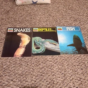 How and Why Wonder Book Lot Vintage (Snakes Reptiles Fish) Kids Magazine Series - Bild 1 von 5