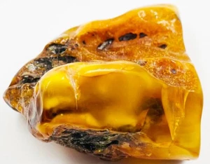 Amber stone Authentic Genuine Baltic Amber Stone amber stone Natural amber - Picture 1 of 12