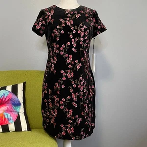 Calvin Klein Black Embroidered Floral Cocktail  Sheath Dress NEW 8P Petite  - Picture 1 of 5