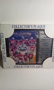 Tampa Bay Buccaneers Super Bowl XXXV 2003 World Champions Collector's Plaque - Picture 1 of 7