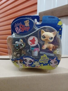 Letzte neue LPS Littlest Pet Shop 815 816 Katzenfarbe Paar unordentlichste Haustiere Neu im Karton - Bild 1 von 6