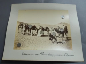 FOTO ANTIGUA ALBÚMINA ÁRABE ÁRABE CAMELLO NIÑO EID SAUDI YEMEN EGYEP IRAQ KUWAIT - Imagen 1 de 1