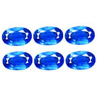 3.18 Ct VVS [6 Pcs Lot] Stunning Oval 6 x 4 MM Royal Blue 100% Natural Kyanite