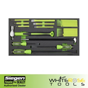 Sealey Pry Bar Hammer Punch Set Tool Tray Siegen by Sealey 23pc - Picture 1 of 10