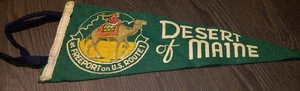 Pennant Felt Vintage Desert Of Maine Freeport Route 1 Travel Souvenir - Picture 1 of 9