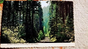PHOTO POST CARD FIR-LINED HIGHWAYS THE PACIFIC NORTHWEST - Picture 1 of 12