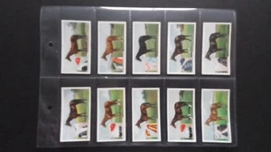 OGDEN'S 1926, DERBY ENTRANTS 1926. FULL SET OF 25 CARDS, - Picture 1 of 6