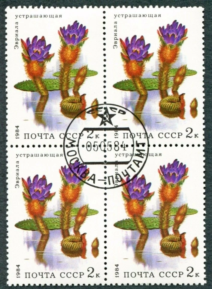 RUSSIA CCCP 1984 2k SG5435 used FG NH Aquatic Flowers Euriala c ##W38 - Image 1 of 1