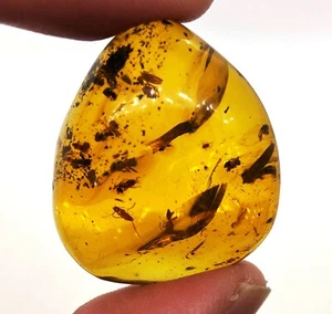 Ámbar de 8 gramos con enjambre de hormigas - fósil de República Dominicana - genuino - Imagen 1 de 11