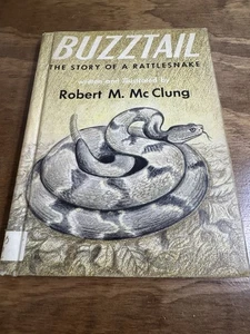 Buzztail Story of a Rattlesnake 1958 Robert M McClung Hardcover - Imagen 1 de 11