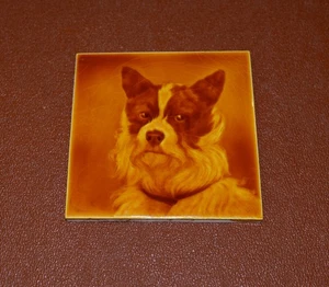 Antique SHERWIN & COTTON Collie Dog Pottery Tile George Cartlidge Emeaux 1890's - Picture 1 of 6