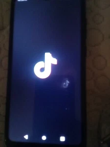 Blu Phone With Tik Tok Open Box - Picture 1 of 4