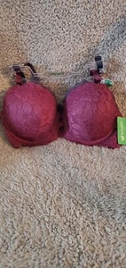Honeydew Leyla Full Figure 2pk Bra 40C Color Charm/Nova - Bild 1 von 11