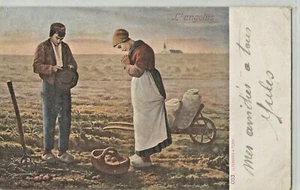 C.P.A / THÈME / NOS CAMPAGNES / - Imagen 1 de 1