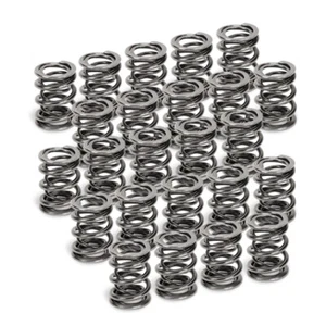 Supertech BMW M50/M52/S50/S52 Dual Valve Spring - Set of 24 - Bild 1 von 1