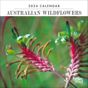 Australian Wildflowers 2024 Mini - Picture 1 of 12