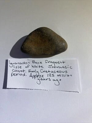 iguanodon bone fragment from Isle of White Jurassic coast UK - Image 1 of 4