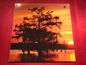 F1-4 R.G. AND BAYOU ZYDECO Bayou On Fire - D11G-72829 - 1988 - RECORD - CAJUN - Imagen 1 de 5