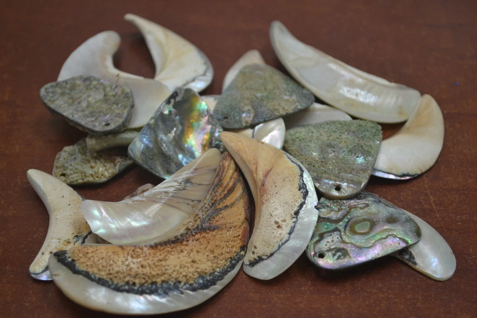 50 PCS ASSORT MIX SOUTH AFRICA SARMATICUS PEARL BLANK SHELL PENDANTS #T-4096 - Image 1 of 1