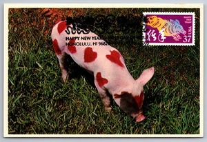 3895l Chinese Lunar New Year Boar FDC Maxi Card - Picture 1 of 2