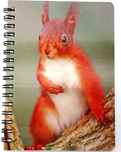 Red Squirrel 3D Notebook NB 089 Ideal Christmas stocking filler - Bild 1 von 8