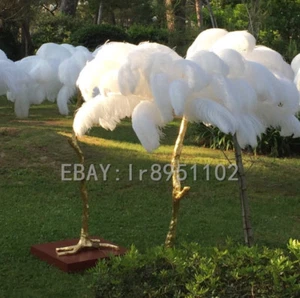 Großhandel! 10/50/100 Stk weiß Straußenfedern 55.9-61cm/55-60 cm Hochzeit - Bild 1 von 5