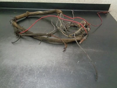 LINCOLN SA 300 SA300 CONTINENTAL TMD WELDER ENGINE BODY ELECTRICAL WIRES WIRING - Image 1 of 4