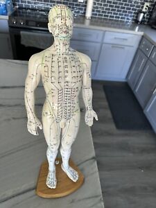 Vtg Acupuncture Acupressure 18” Male Model Doll Chinese Notation