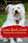 Come Back, Como: Winning The Heart Of A Reluctant Dog