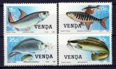 Пресноводная рыба South Africa Venda 169-172 как новая без наклеек и следов ZAYIX 0424S0071M - Изображение 1 из 3