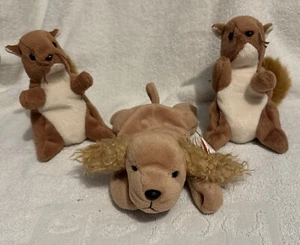 Ty Beanie Baby Spunky The Cocker Spaniel & Nuts The Squirrel (Retired) - Picture 1 of 3