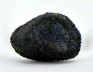 0,25g AGUAS ZARCAS Oriented Meteorite I Carbonaceous Chondrite CM2 TOP METEORITE - Bild 1 von 7