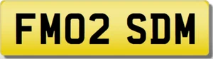 SDM FM FMO 2 SM privates geschätztes Kennzeichenschild - Bild 1 von 1