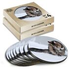 8 x Boxed Round Coasters - Cute Tabby Kitten Cat in Snow #44808