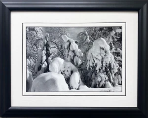 Ansel Adams "Trees in Snow, Yosemite" California Custom Framed NEW ART park - Bild 1 von 3